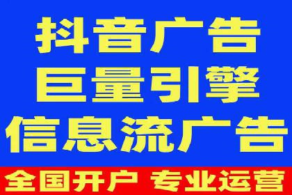 某科技公司的信息流广告投放策略与效果评估